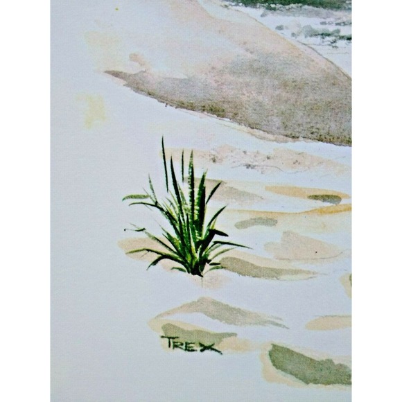 Pirate Ship Art Print Distant Beach Sand Dune Seaside Seascape T Rex Nautical - Picture 3 of 8